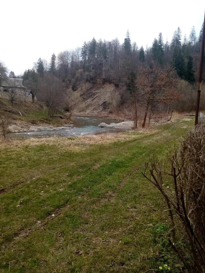 Садиба Федорчуків За рікою1 Шешоры Экстерьер фото