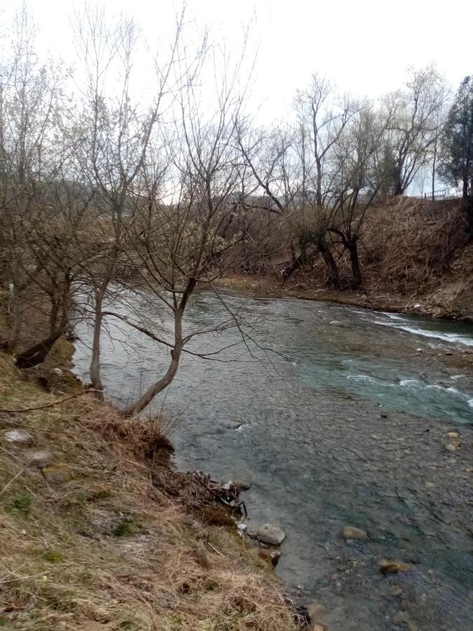 Садиба Федорчуків За рікою1 Шешоры Экстерьер фото