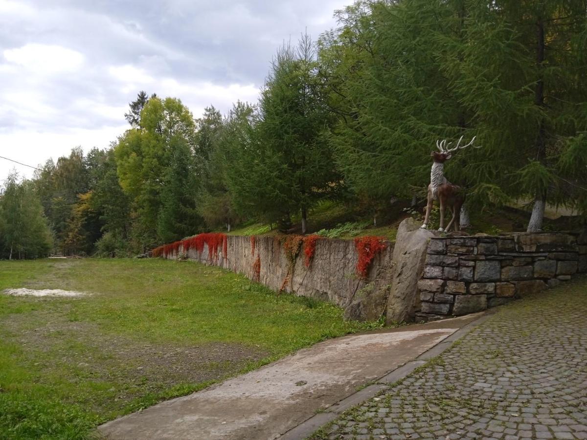 Садиба Федорчуків За рікою1 Шешоры Экстерьер фото