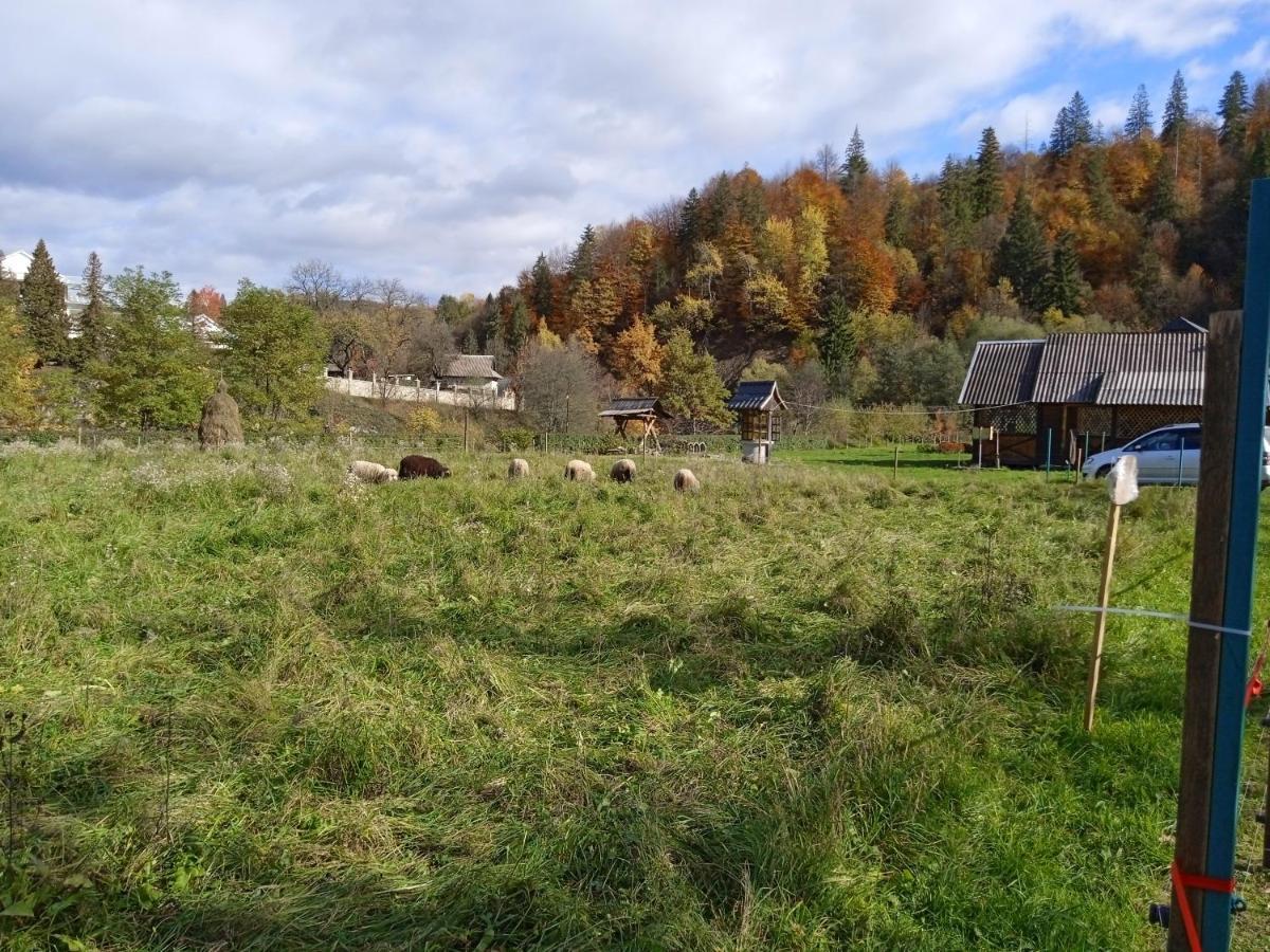 Садиба Федорчуків За рікою1 Шешоры Экстерьер фото
