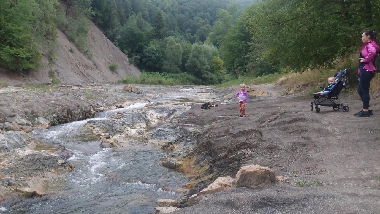 Садиба Федорчуків За рікою1 Шешоры Экстерьер фото